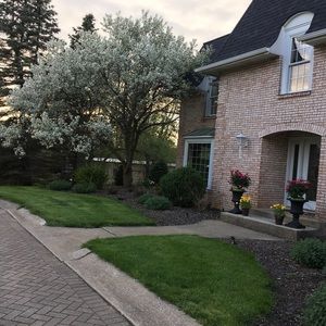 Meet your Posher, Rae